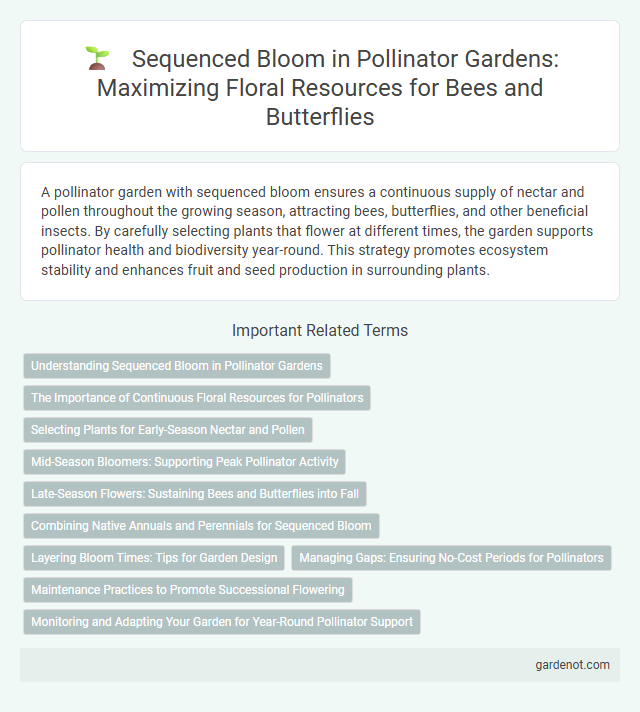 Sequenced Bloom in Pollinator Gardens: Maximizing Floral Resources for Bees and Butterflies