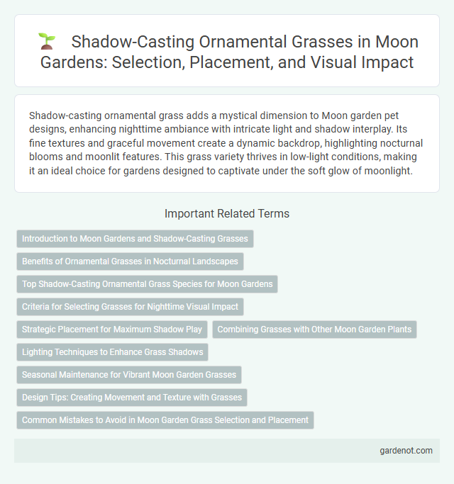 Shadow-Casting Ornamental Grasses in Moon Gardens: Selection, Placement, and Visual Impact