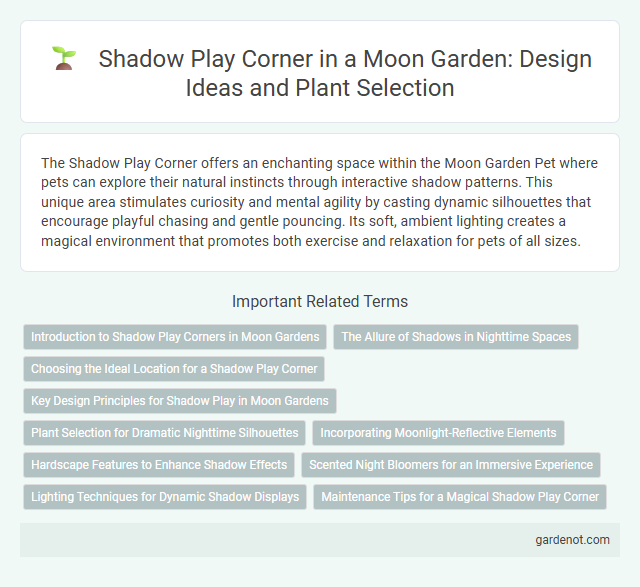 Shadow Play Corner in a Moon Garden: Design Ideas and Plant Selection