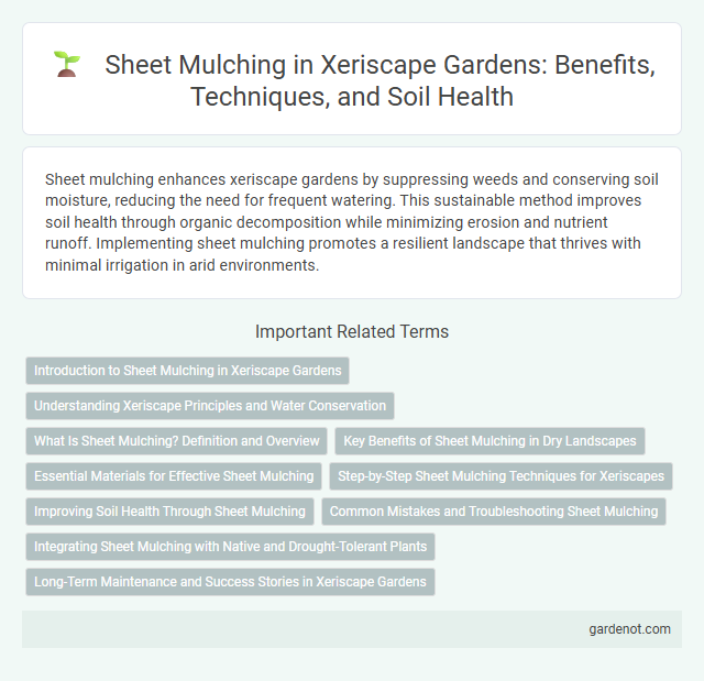 Sheet Mulching in Xeriscape Gardens: Benefits, Techniques, and Soil Health