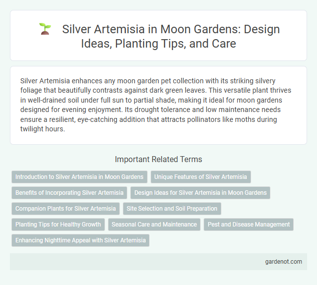 Silver Artemisia in Moon Gardens: Design Ideas, Planting Tips, and Care