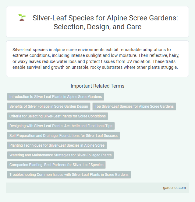 Silver-Leaf Species for Alpine Scree Gardens: Selection, Design, and Care