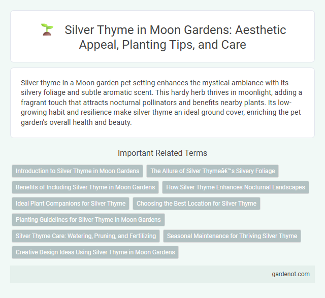Silver Thyme in Moon Gardens: Aesthetic Appeal, Planting Tips, and Care