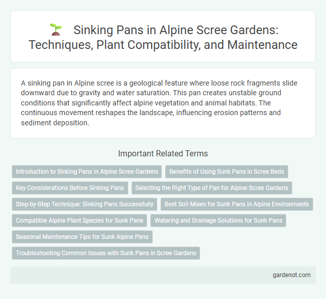 Sinking Pans in Alpine Scree Gardens: Techniques, Plant Compatibility, and Maintenance