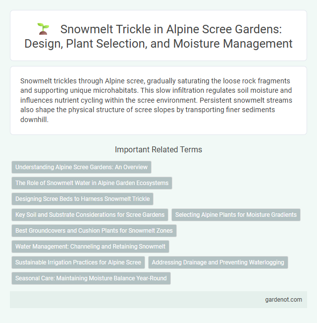 Snowmelt Trickle in Alpine Scree Gardens: Design, Plant Selection, and Moisture Management