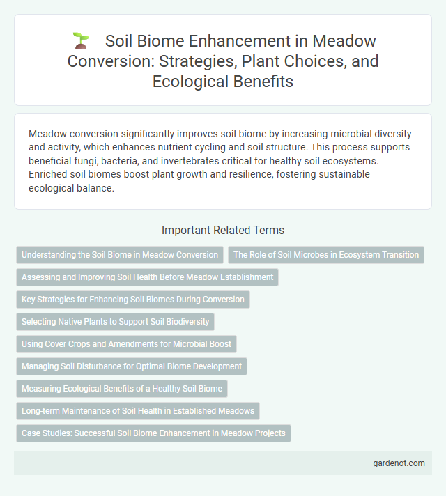 Soil Biome Enhancement in Meadow Conversion: Strategies, Plant Choices, and Ecological Benefits