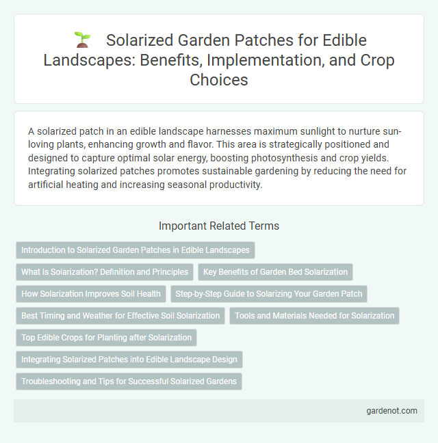 Solarized Garden Patches for Edible Landscapes: Benefits, Implementation, and Crop Choices