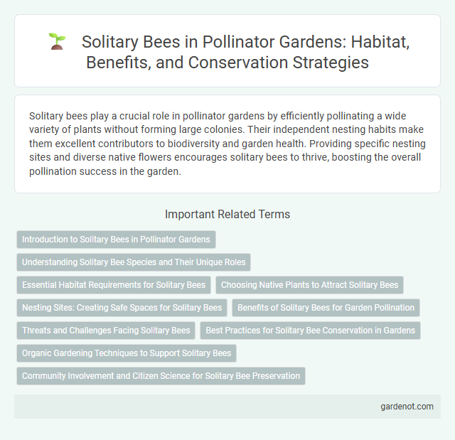 Solitary Bees in Pollinator Gardens: Habitat, Benefits, and Conservation Strategies