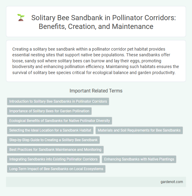 Solitary Bee Sandbank in Pollinator Corridors: Benefits, Creation, and Maintenance
