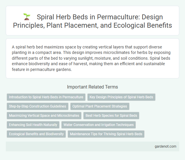 Spiral Herb Beds in Permaculture: Design Principles, Plant Placement, and Ecological Benefits