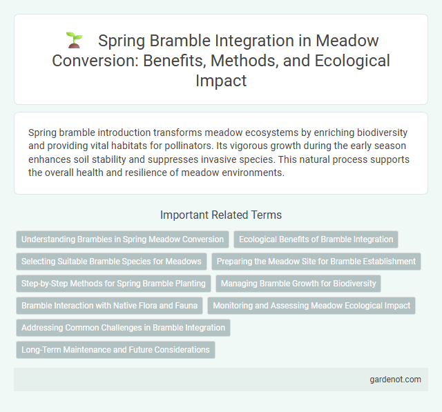 Spring Bramble Integration in Meadow Conversion: Benefits, Methods, and Ecological Impact