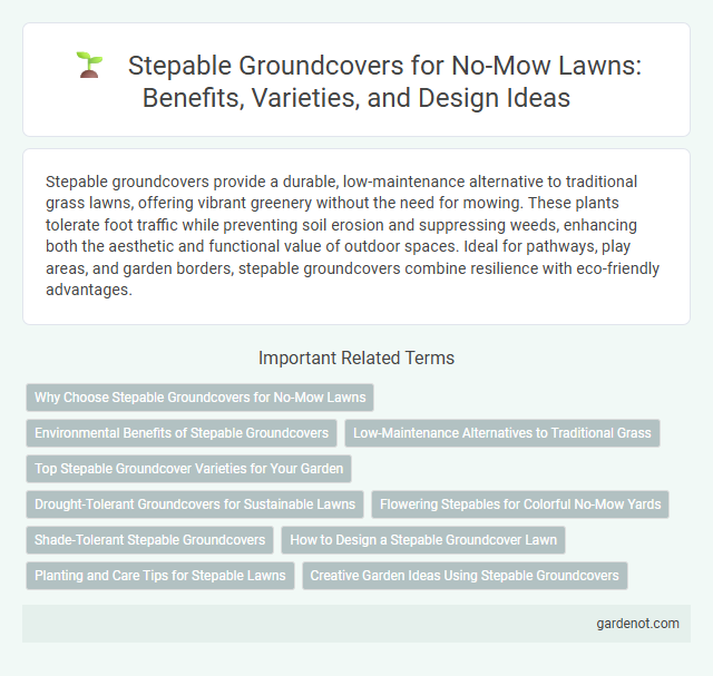 Stepable Groundcovers for No-Mow Lawns: Benefits, Varieties, and Design Ideas