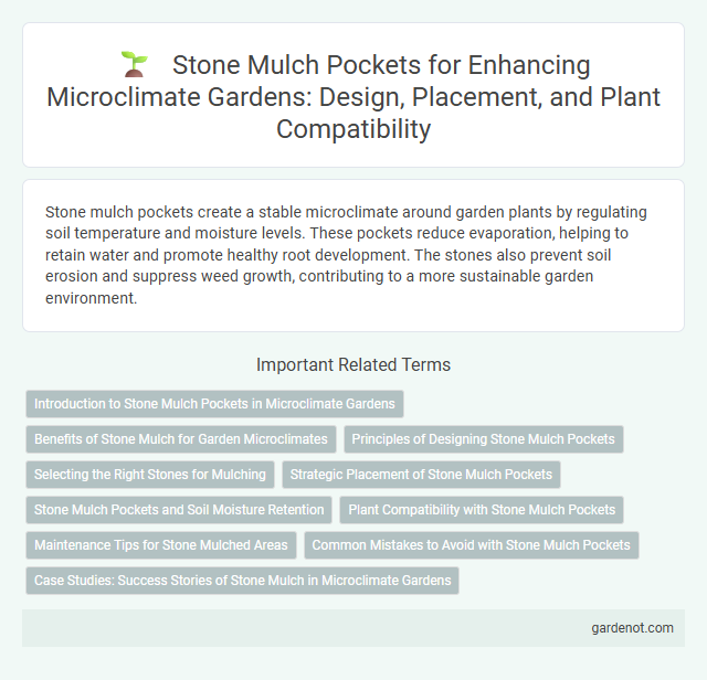 Stone Mulch Pockets for Enhancing Microclimate Gardens: Design, Placement, and Plant Compatibility