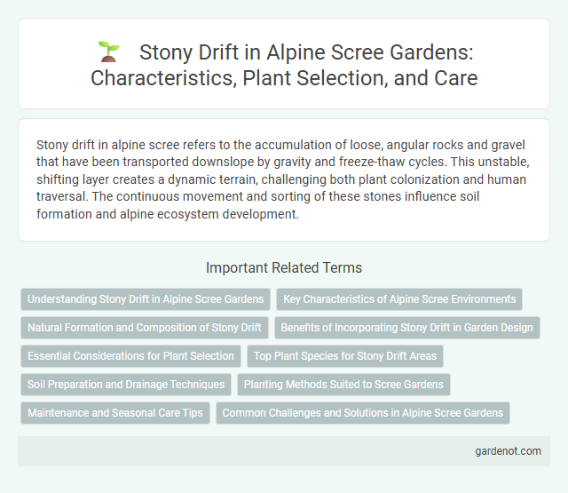 Stony Drift in Alpine Scree Gardens: Characteristics, Plant Selection, and Care