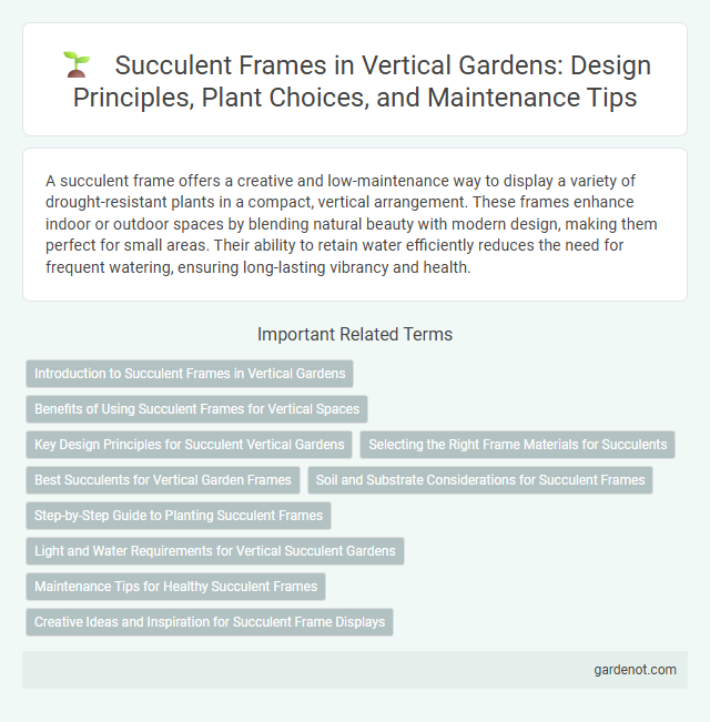 Succulent Frames in Vertical Gardens: Design Principles, Plant Choices, and Maintenance Tips