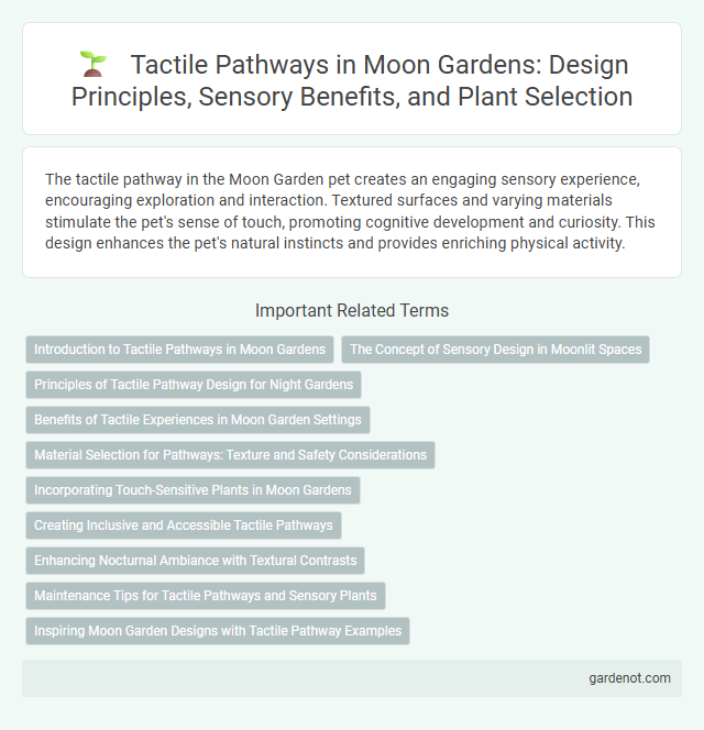 Tactile Pathways in Moon Gardens: Design Principles, Sensory Benefits, and Plant Selection