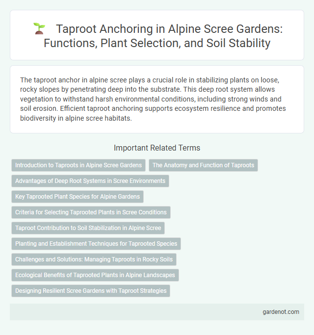 Taproot Anchoring in Alpine Scree Gardens: Functions, Plant Selection, and Soil Stability