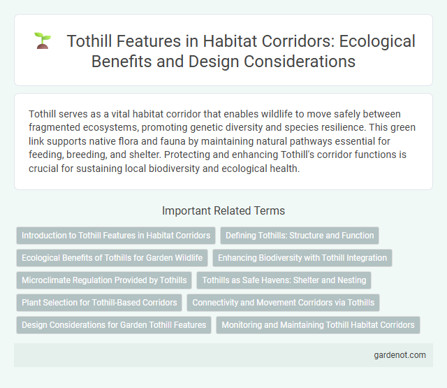 Tothill Features in Habitat Corridors: Ecological Benefits and Design Considerations