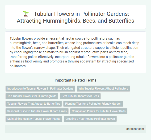 Tubular Flowers in Pollinator Gardens: Attracting Hummingbirds, Bees, and Butterflies
