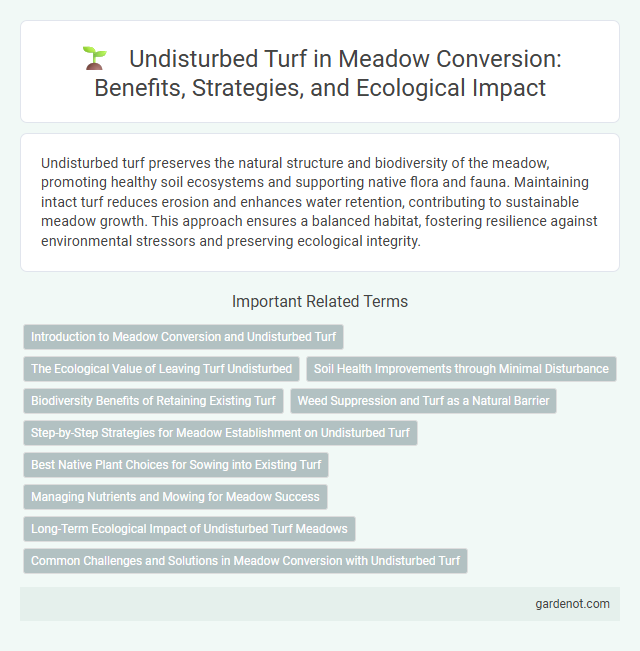 Undisturbed Turf in Meadow Conversion: Benefits, Strategies, and Ecological Impact