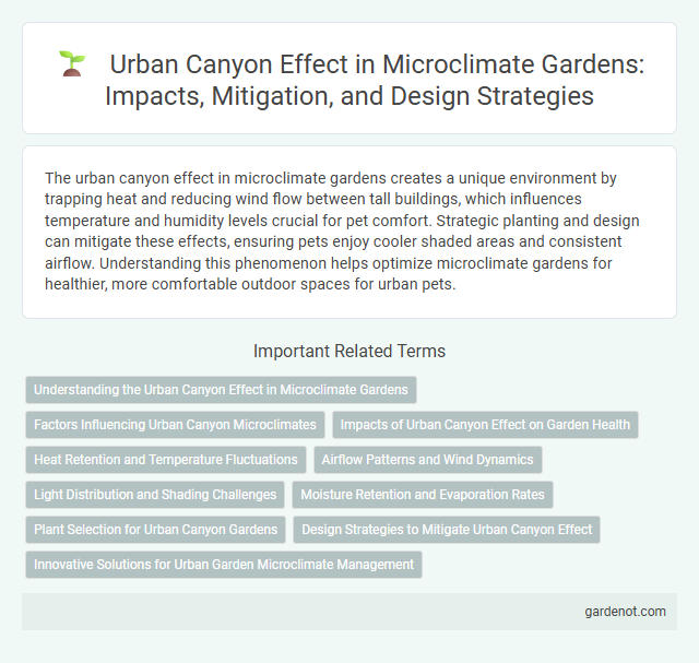 Urban Canyon Effect in Microclimate Gardens: Impacts, Mitigation, and Design Strategies