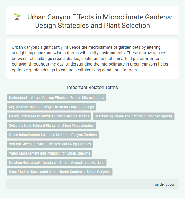 Urban Canyon Effects in Microclimate Gardens: Design Strategies and Plant Selection