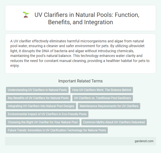 UV Clarifiers in Natural Pools: Function, Benefits, and Integration