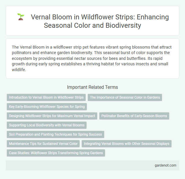 Vernal Bloom in Wildflower Strips: Enhancing Seasonal Color and Biodiversity