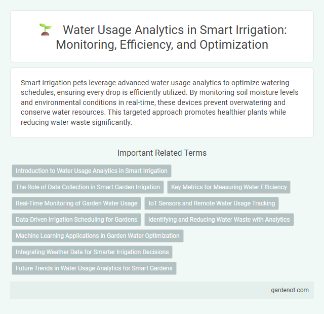 Water Usage Analytics in Smart Irrigation: Monitoring, Efficiency, and Optimization