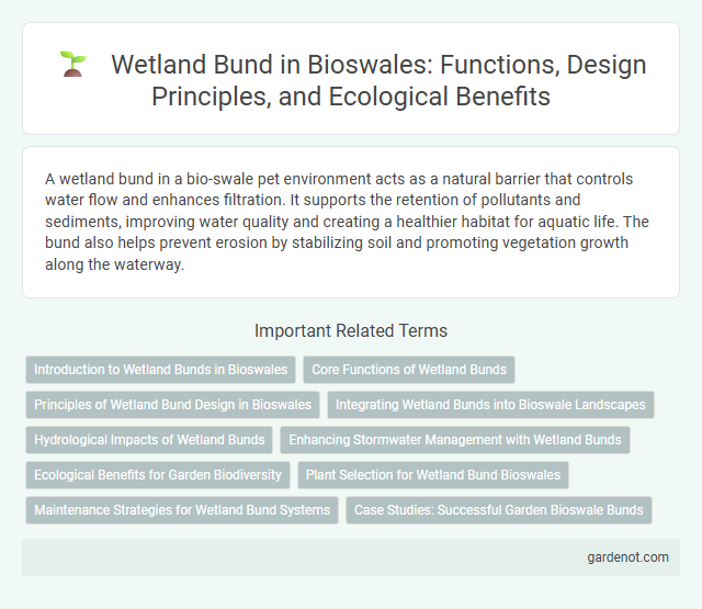 Wetland Bund in Bioswales: Functions, Design Principles, and Ecological Benefits