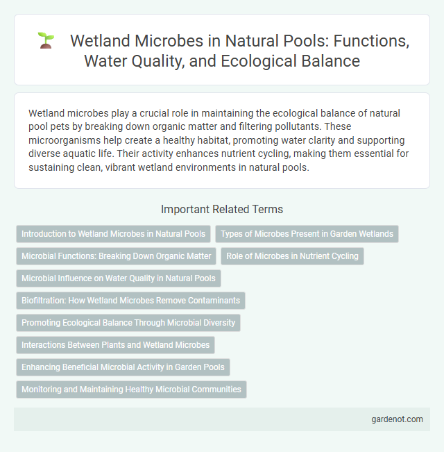 Wetland Microbes in Natural Pools: Functions, Water Quality, and Ecological Balance