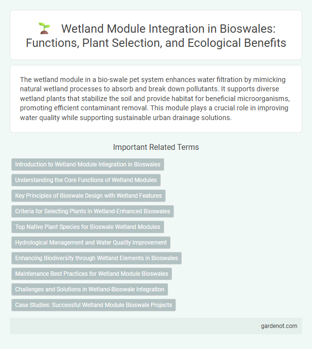 Wetland Module Integration in Bioswales: Functions, Plant Selection, and Ecological Benefits