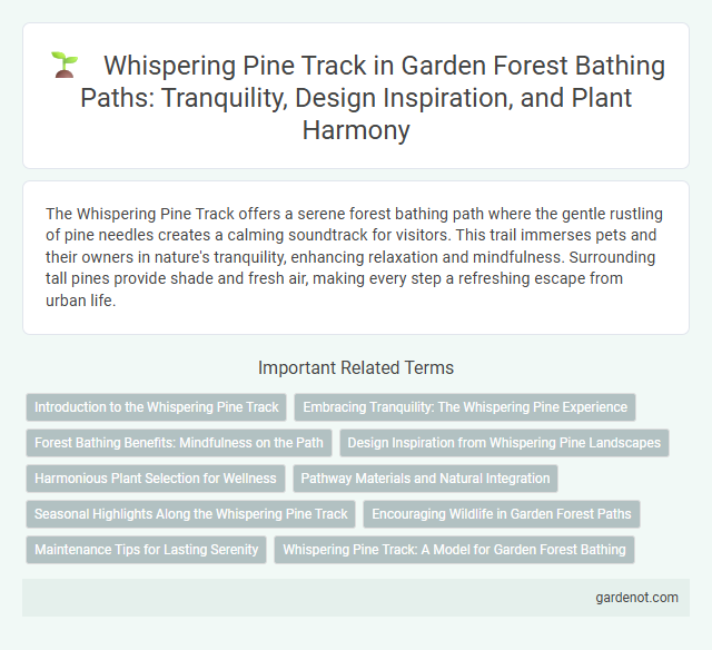 Whispering Pine Track in Garden Forest Bathing Paths: Tranquility, Design Inspiration, and Plant Harmony