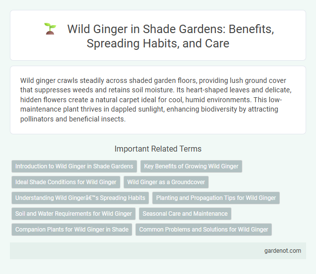 Wild Ginger in Shade Gardens: Benefits, Spreading Habits, and Care