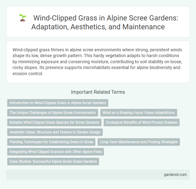 Wind-Clipped Grass in Alpine Scree Gardens: Adaptation, Aesthetics, and Maintenance