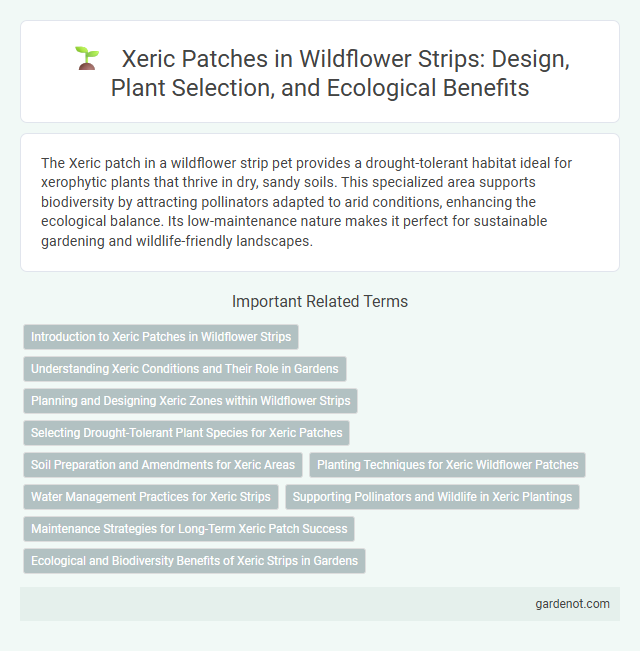 Xeric Patches in Wildflower Strips: Design, Plant Selection, and Ecological Benefits