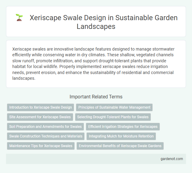 Xeriscape Swale Design in Sustainable Garden Landscapes