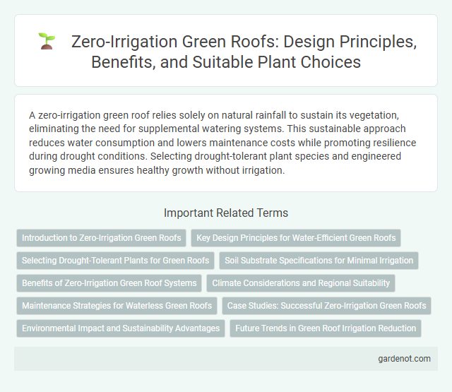 Zero-Irrigation Green Roofs: Design Principles, Benefits, and Suitable Plant Choices