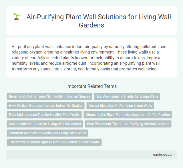 Air-Purifying Plant Wall Solutions for Living Wall Gardens