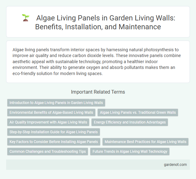Algae Living Panels in Garden Living Walls: Benefits, Installation, and Maintenance
