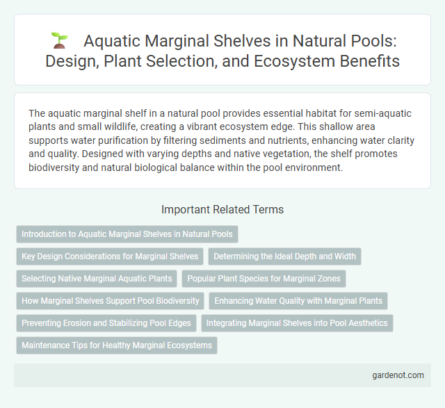 Aquatic Marginal Shelves in Natural Pools: Design, Plant Selection, and Ecosystem Benefits