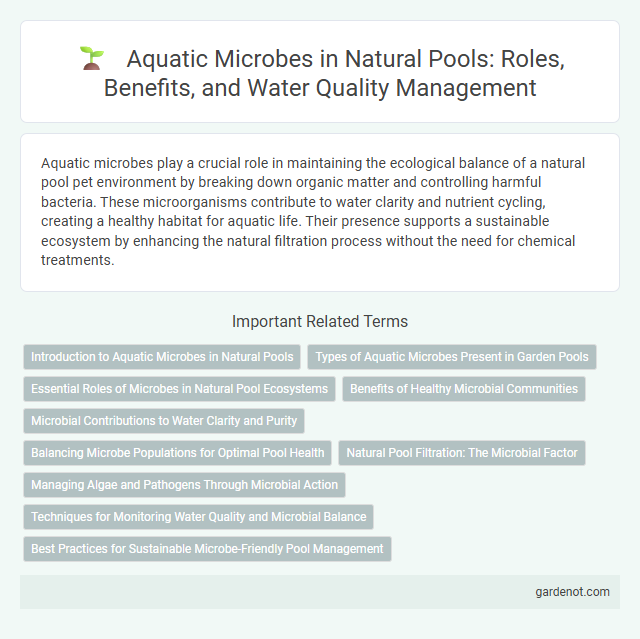 Aquatic Microbes in Natural Pools: Roles, Benefits, and Water Quality Management