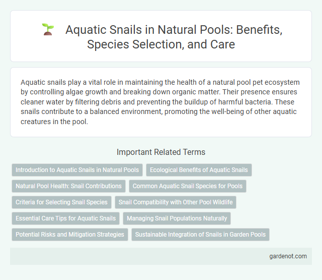 Aquatic Snails in Natural Pools: Benefits, Species Selection, and Care