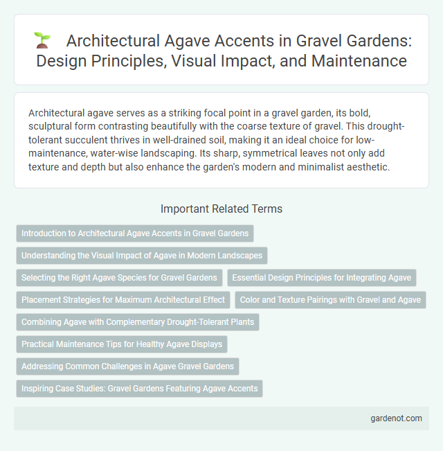 Architectural Agave Accents in Gravel Gardens: Design Principles, Visual Impact, and Maintenance