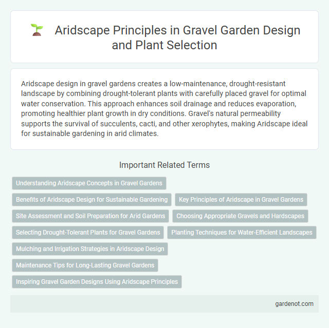 Aridscape Principles in Gravel Garden Design and Plant Selection