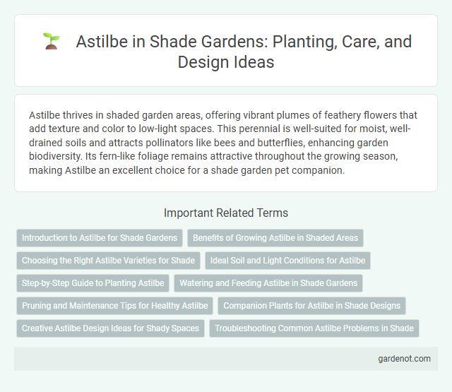 Astilbe in Shade Gardens: Planting, Care, and Design Ideas