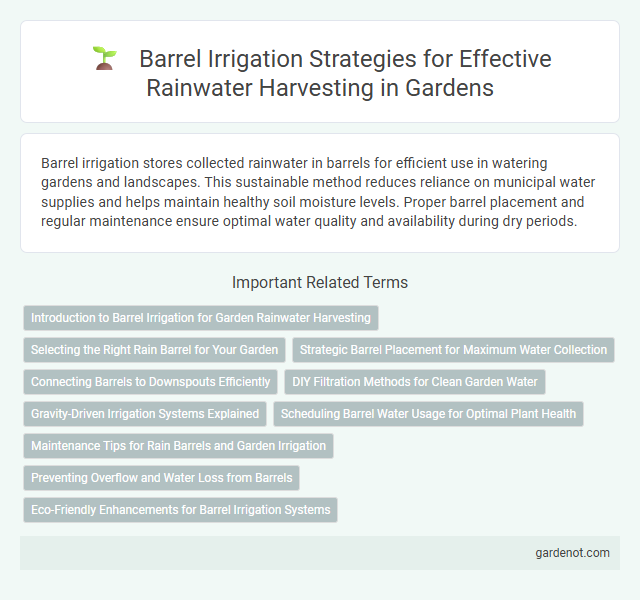 Barrel Irrigation Strategies for Effective Rainwater Harvesting in Gardens