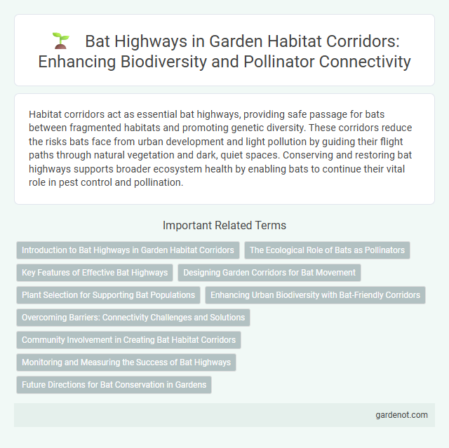 Bat Highways in Garden Habitat Corridors: Enhancing Biodiversity and Pollinator Connectivity