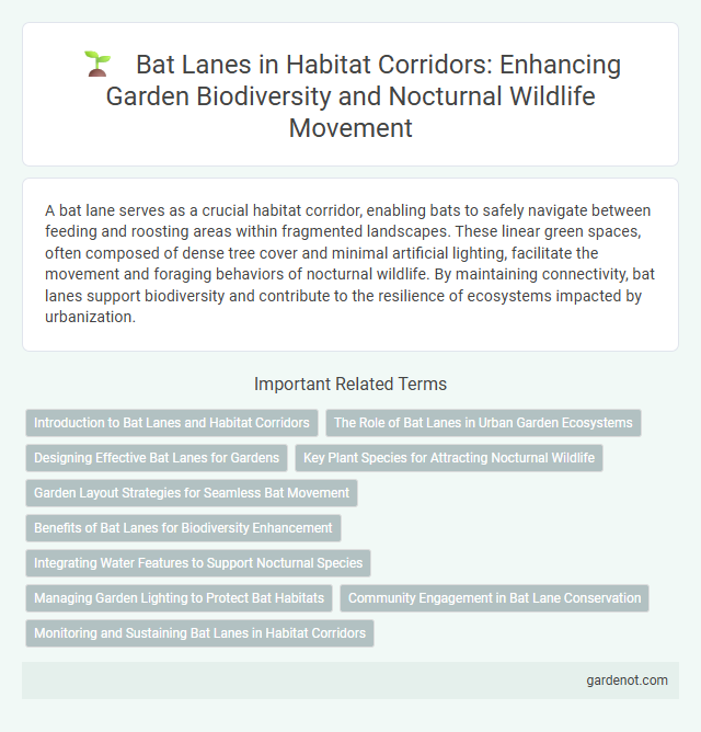 Bat Lanes in Habitat Corridors: Enhancing Garden Biodiversity and Nocturnal Wildlife Movement