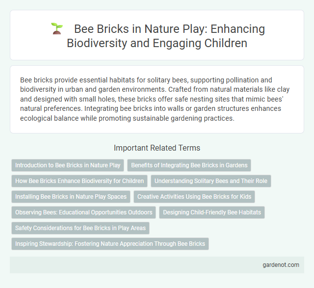 Bee Bricks in Nature Play: Enhancing Biodiversity and Engaging Children